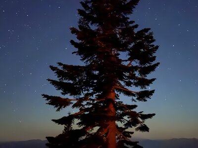 Mt. Shasta